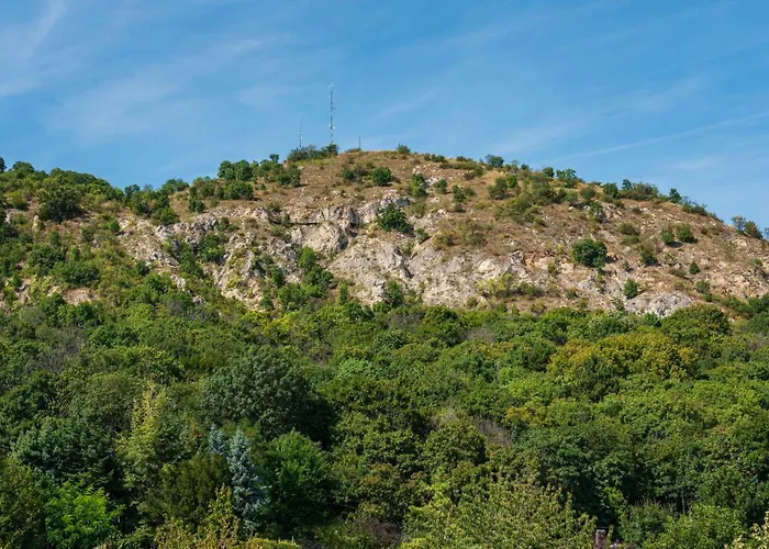 Ida Panzió Vendégház 3*